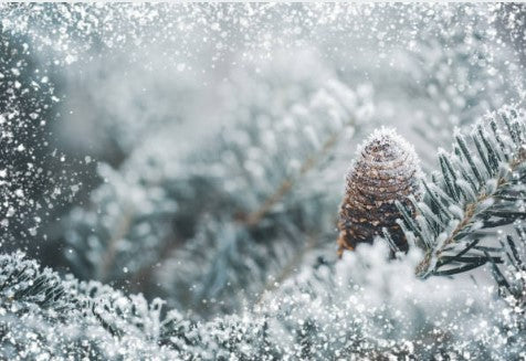 Les beaux cadeaux de Mère Nature : le potentiel inhibiteur d’huiles essentielles sur la réplication virale d’un coronavirus.