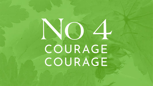 No 4 Courage, energy synergy