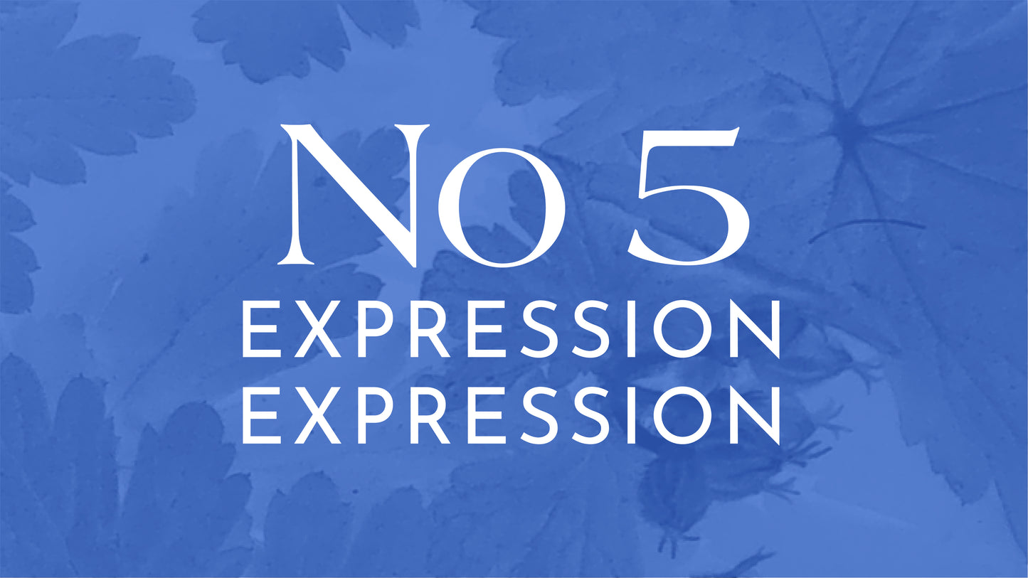 No 5 Expression, energy synergy